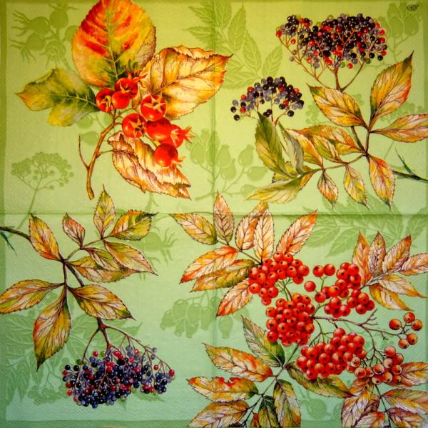 046 Beeren (grün) - Ihr